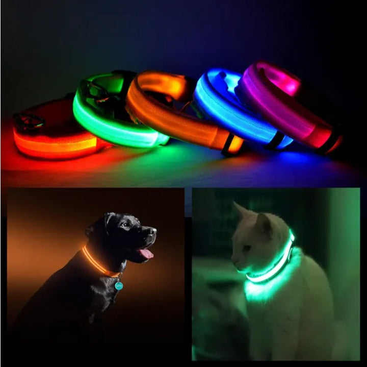 Illuminate Your Pet's Safety with the LED PET Safety Halo Style Collar