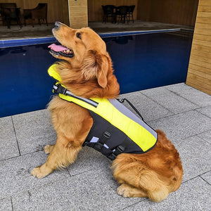 Keep Your Pet Safe with Our Reflective Life Jacket
