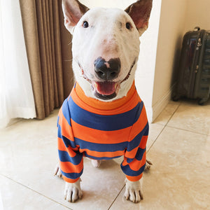 Discover the Cutest Fashion for Your Furry Friends