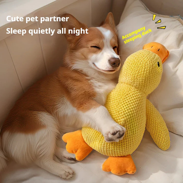 The Comfort Your Dog Deserves: Introducing the Dog Calming Stuffed Duck