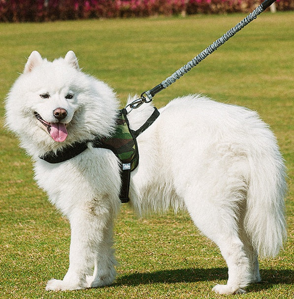 Enhance Your Outdoor Adventures with Our Pet Chest Harness and Leash Set