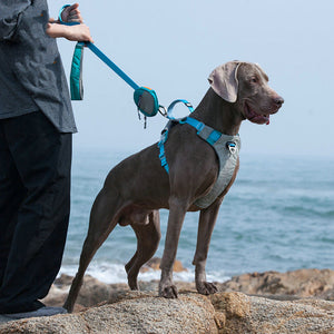 Heavy Duty Pet Chest Strap Leash With Storage Bag