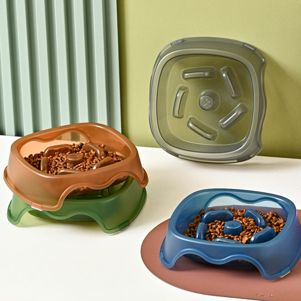 Pet Slow Feeding Anti Choking Water Bowl Feeding Dish