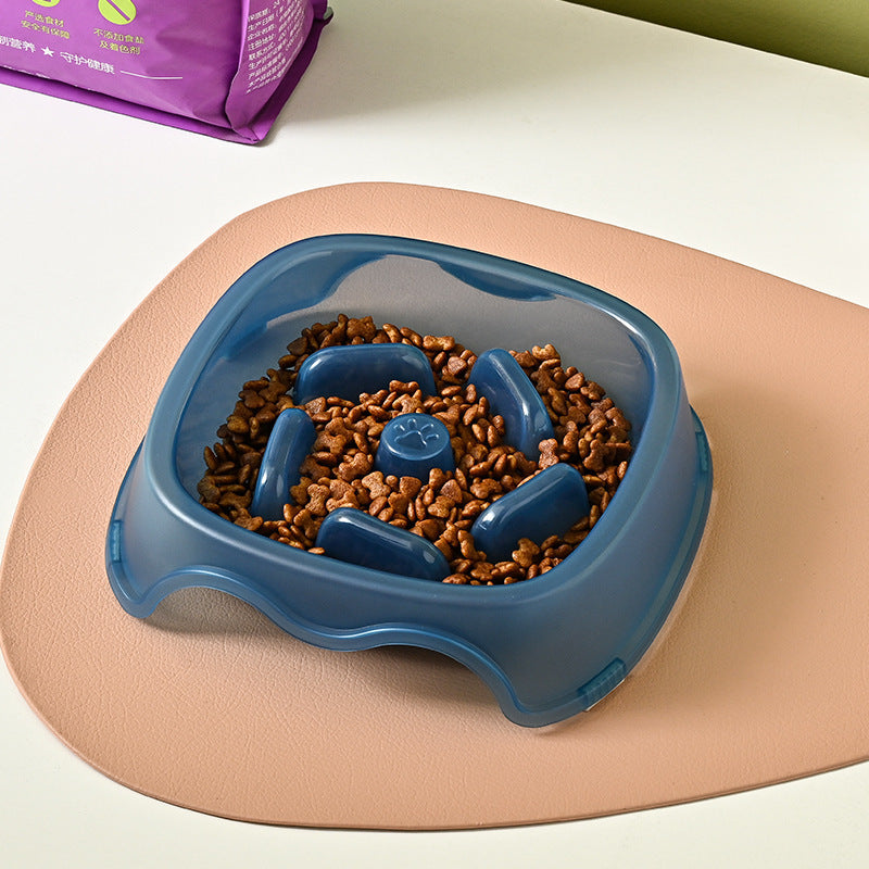 Pet Slow Feeding Anti Choking Water Bowl Feeding Dish