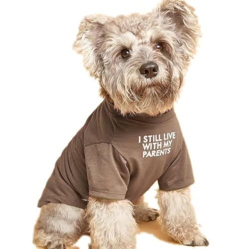 Pet Round Neck T-Shirt Casual Clothing Apparel