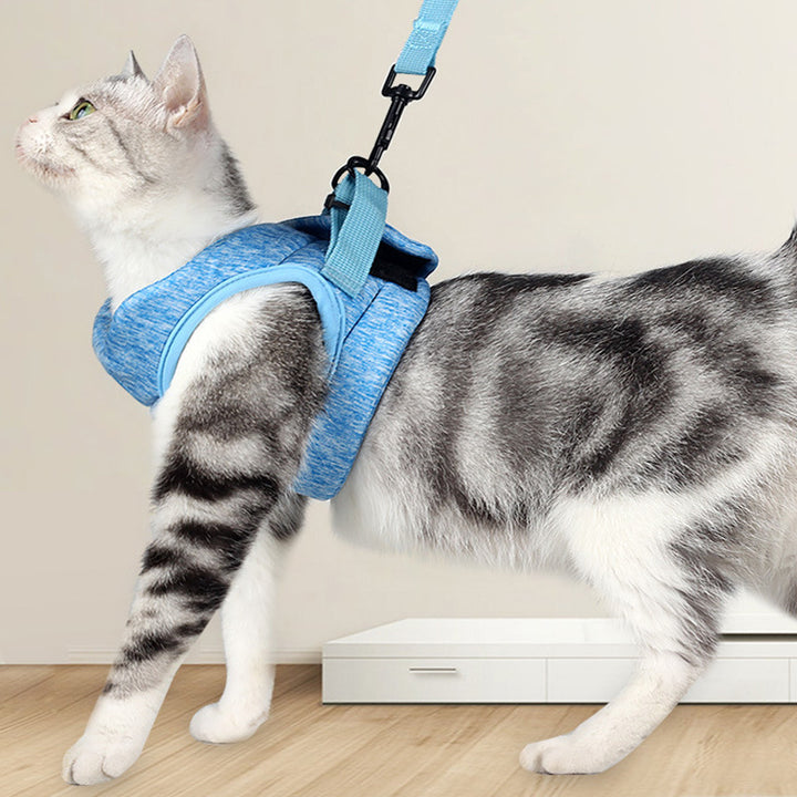 Breathable Lightweight Pet Chest Strap And Leash Set