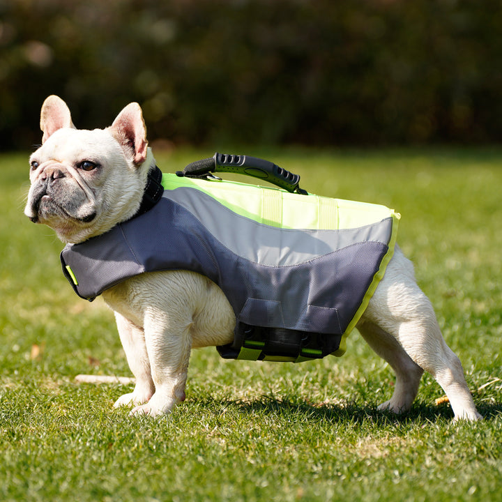 Pet Reflective Swimsuit Life Jacket Safety Gear