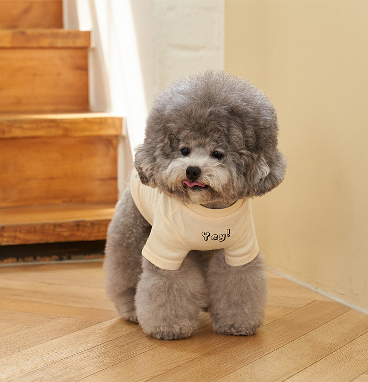 Pet Cotton T-Shirt Short Sleeve Color Print Apparel