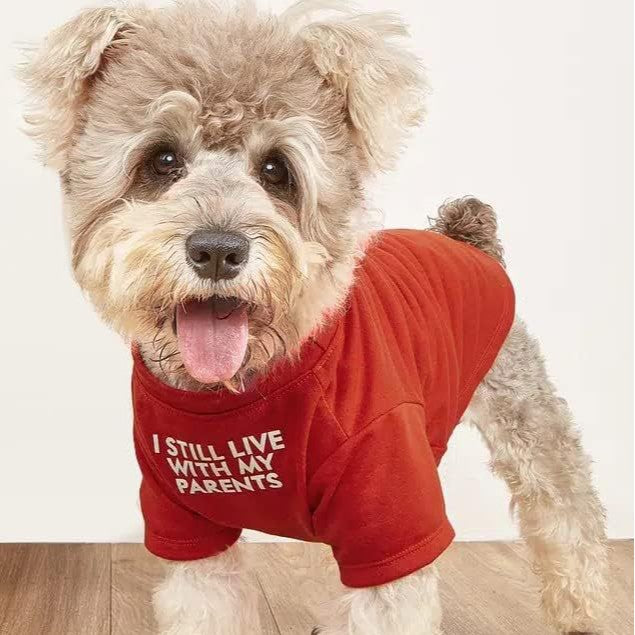 Pet Round Neck T-Shirt Casual Clothing Apparel