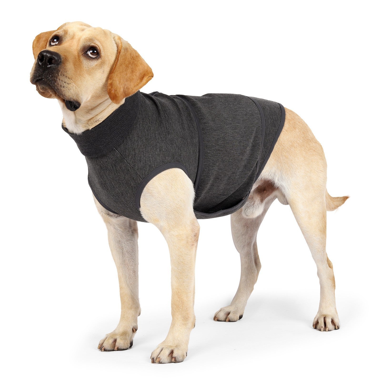 Pet Comfort Double Jacket Polyester Cotton Apparel