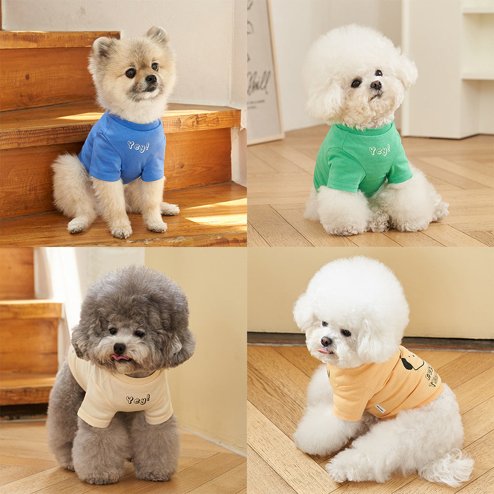 Pet Cotton T-Shirt Short Sleeve Color Print Apparel