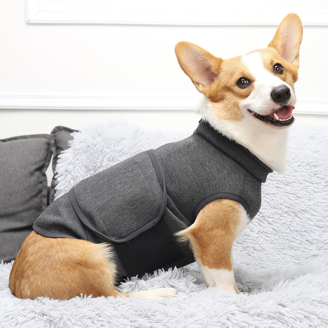 Pet Comfort Double Jacket Polyester Cotton Apparel