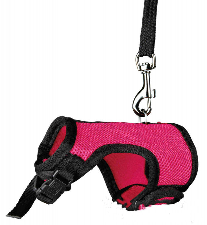 Adjustable Pet Leash For Small Pets And Outdoor Use