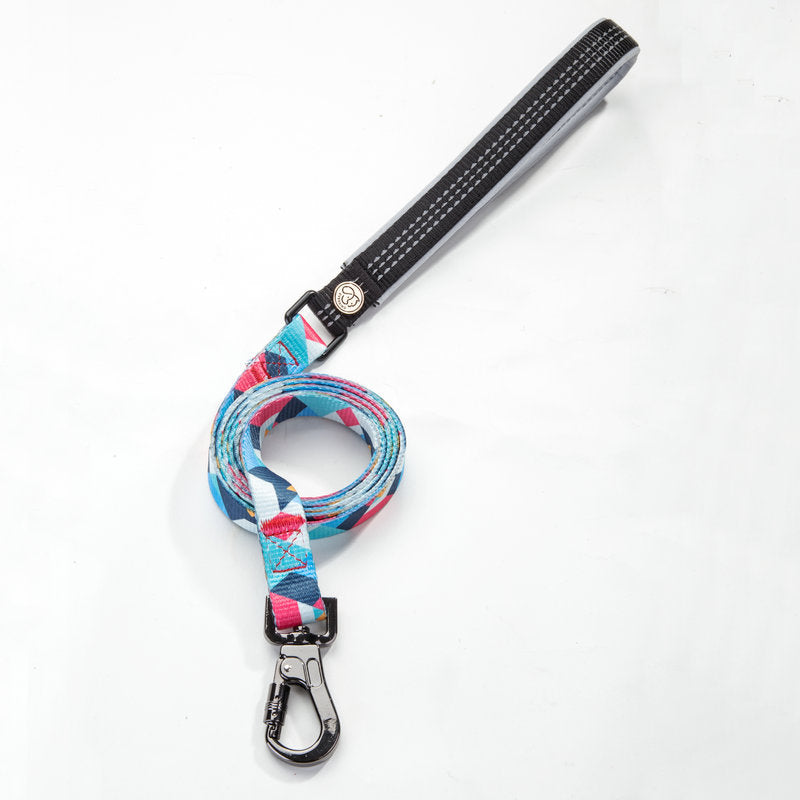 Adjustable Pet Leash For Outdoor Walking And Control
