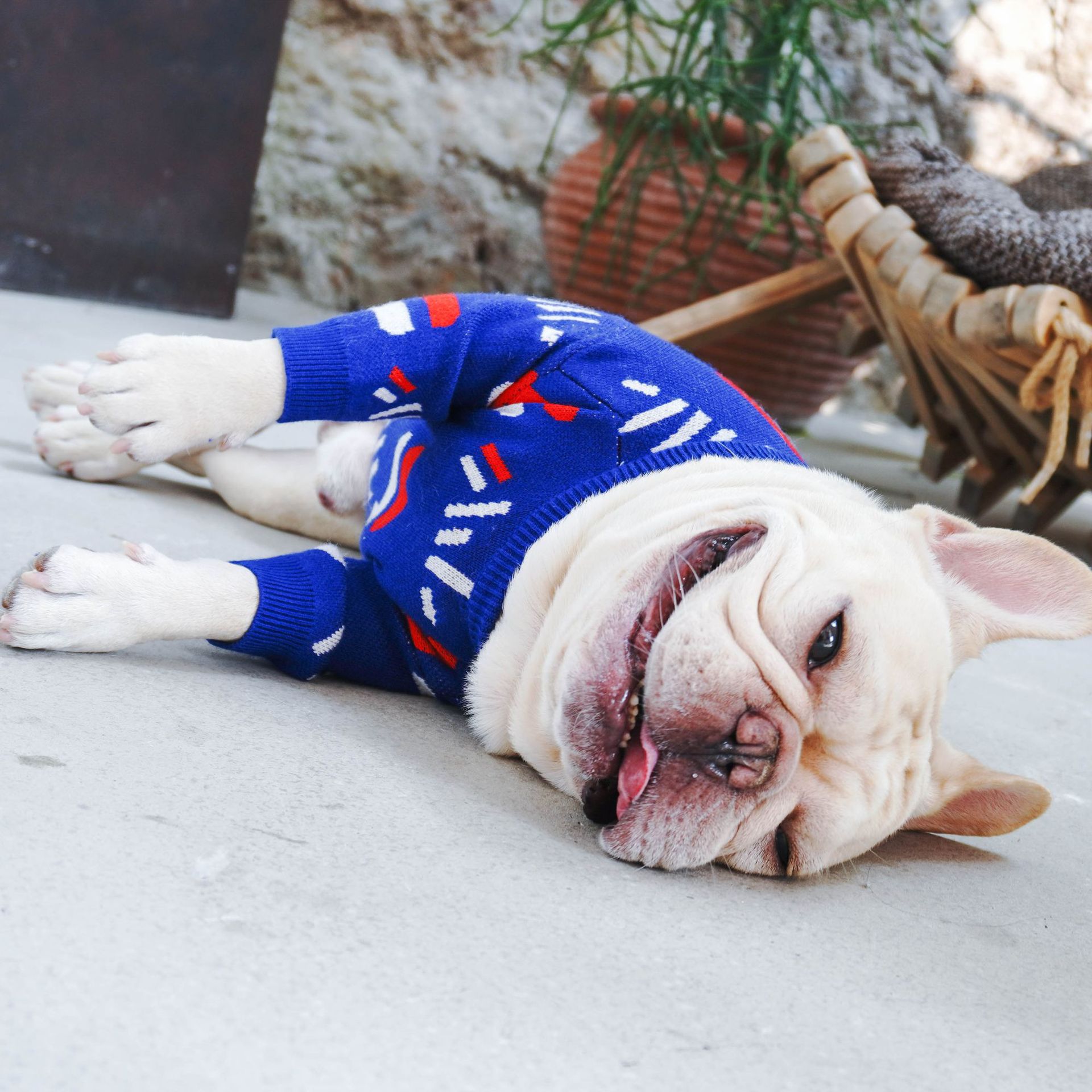 Pet Knitted Sweater Warm Winter Clothing