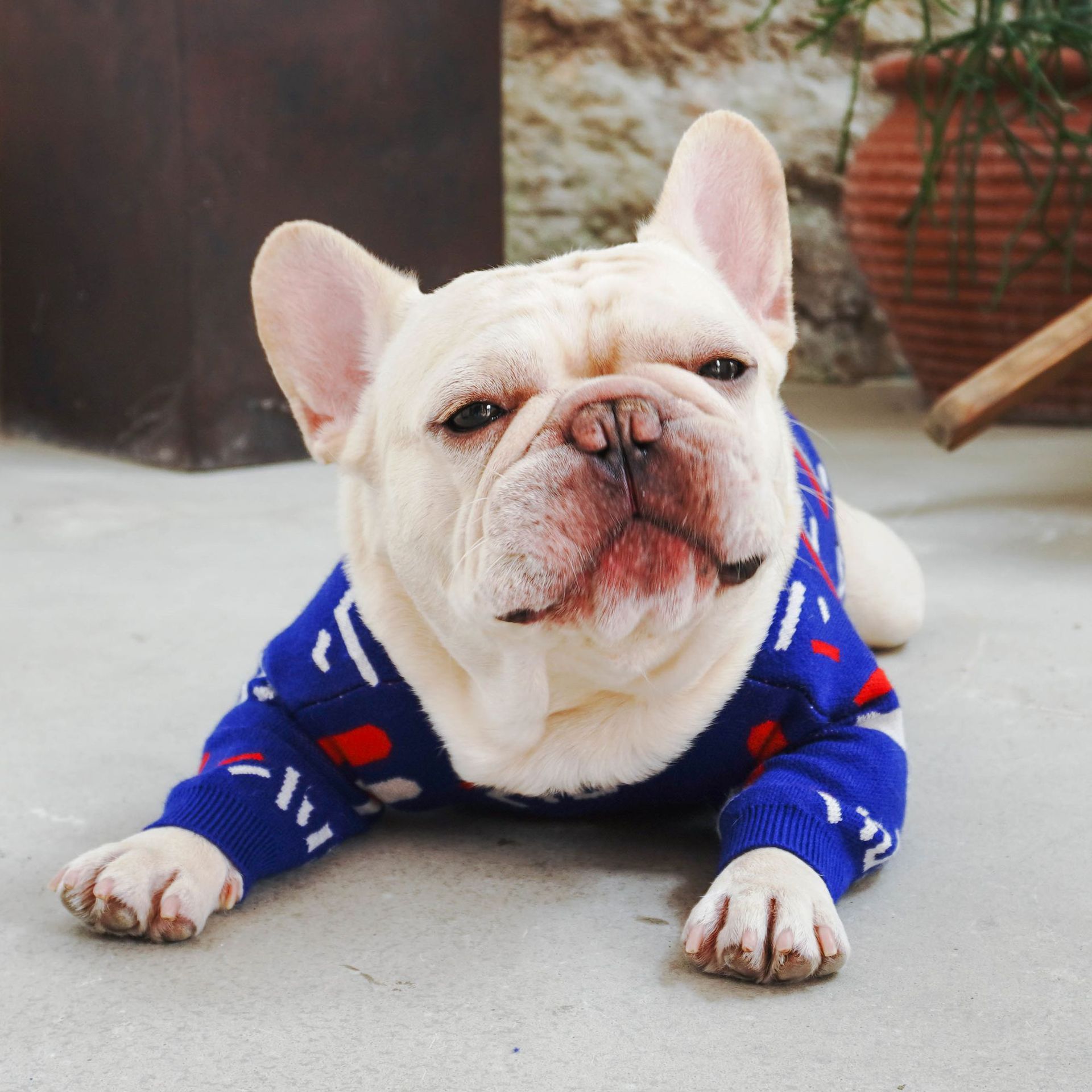 Pet Knitted Sweater Warm Winter Clothing