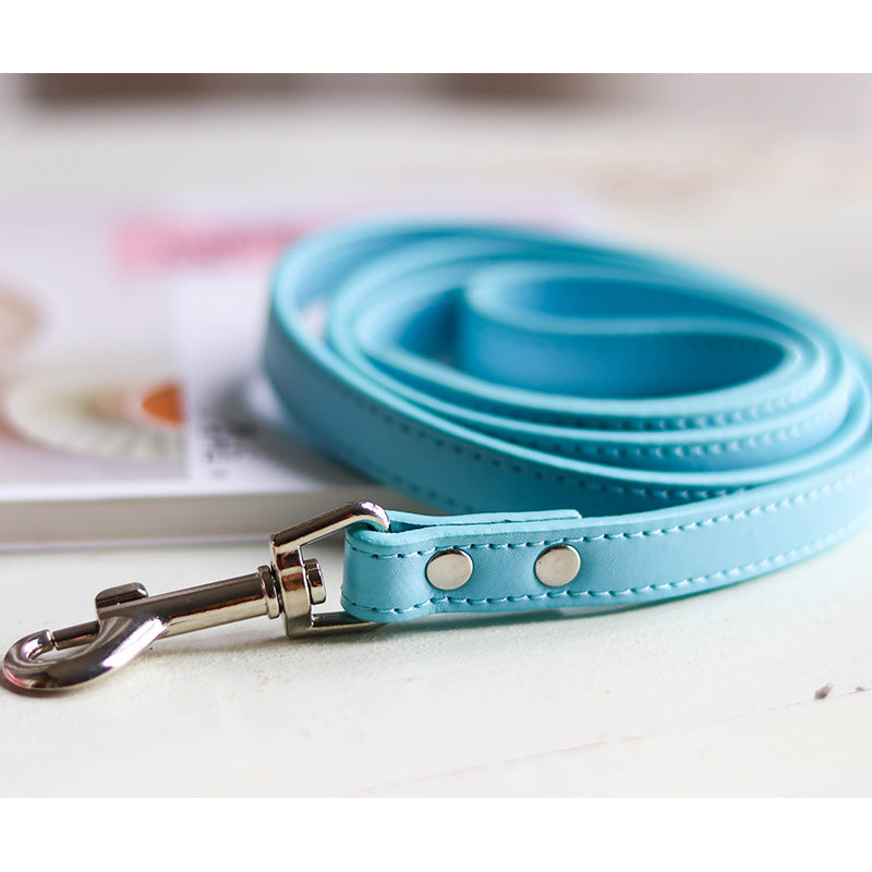 Adjustable Pet Leash And Collar Set For Outdoor Use