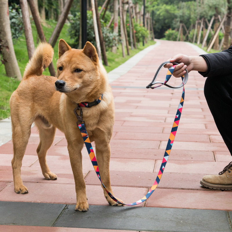 Adjustable Pet Leash For Outdoor Walking And Control