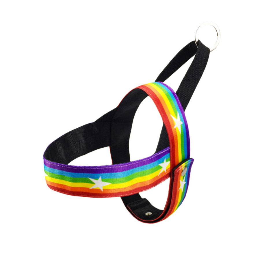 Rainbow Style Cool Pet Chain Leash For Outdoor Use