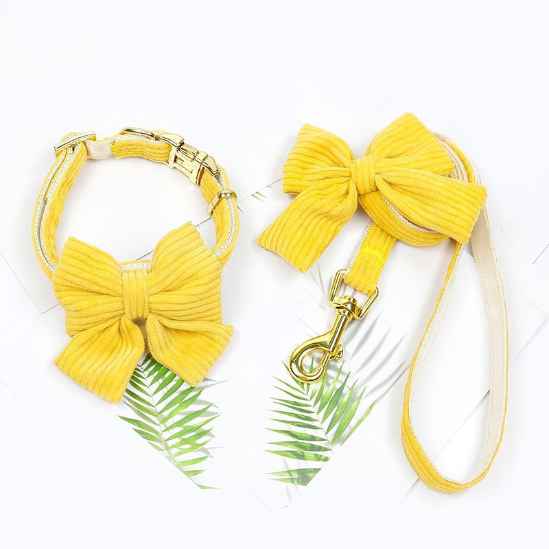 Adjustable Pet Leash And Harness For Outdoor Use