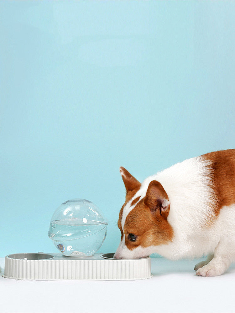 Pet Automatic Feeder And Water Dispenser Bowl System