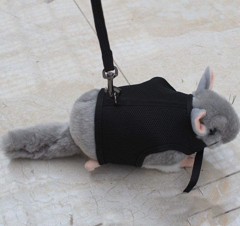 Adjustable Pet Leash For Small Pets And Outdoor Use