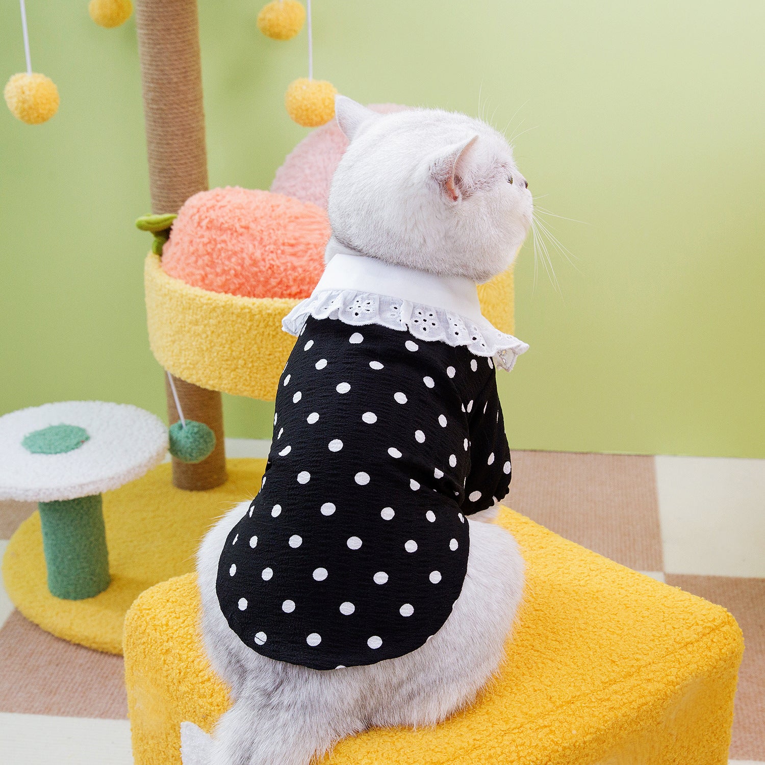 Pet Blue T-Shirt Casual Clothing Apparel