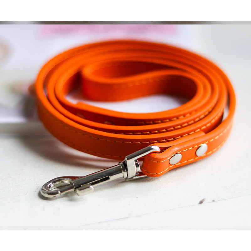 Adjustable Pet Leash And Collar Set For Outdoor Use