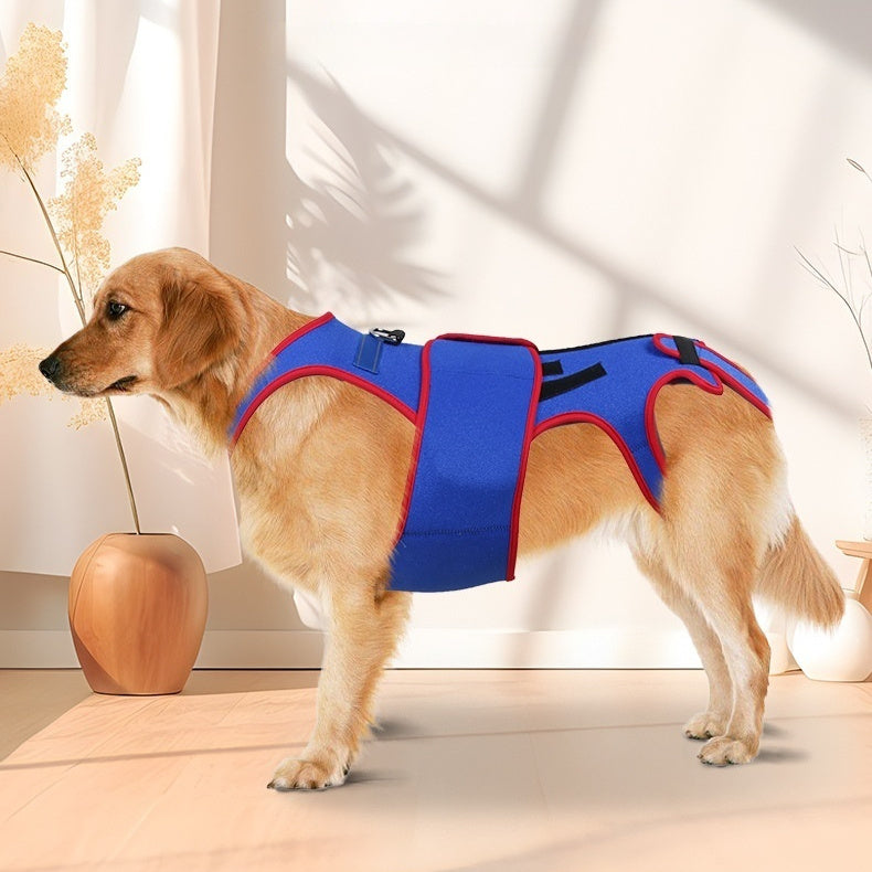 Pet Spine Support Jacket Posture Correction Apparel