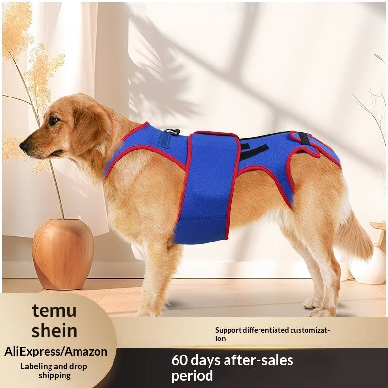 Pet Spine Support Jacket Posture Correction Apparel