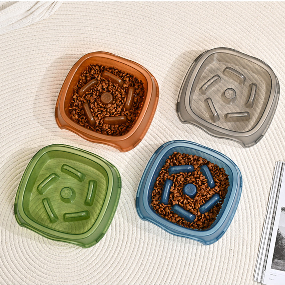Pet Slow Feeding Anti Choking Water Bowl Feeding Dish