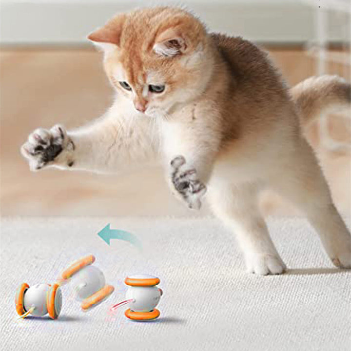 Electric Intelligent Rechargeable Interactive Pet Teaser Toy