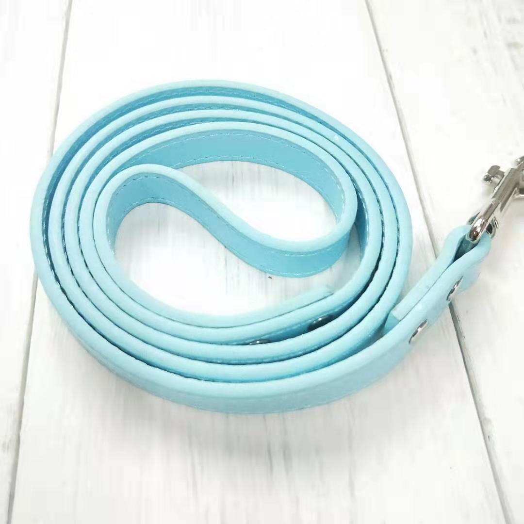 Adjustable Pet Leash And Collar Set For Outdoor Use