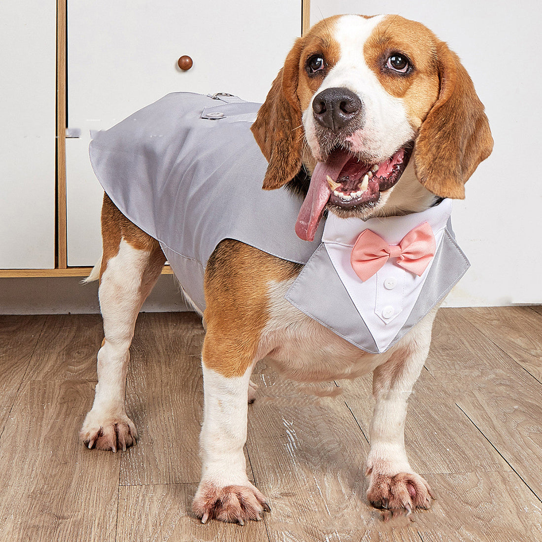Pet Wedding Suit Jacket Swallowtail Formal Apparel