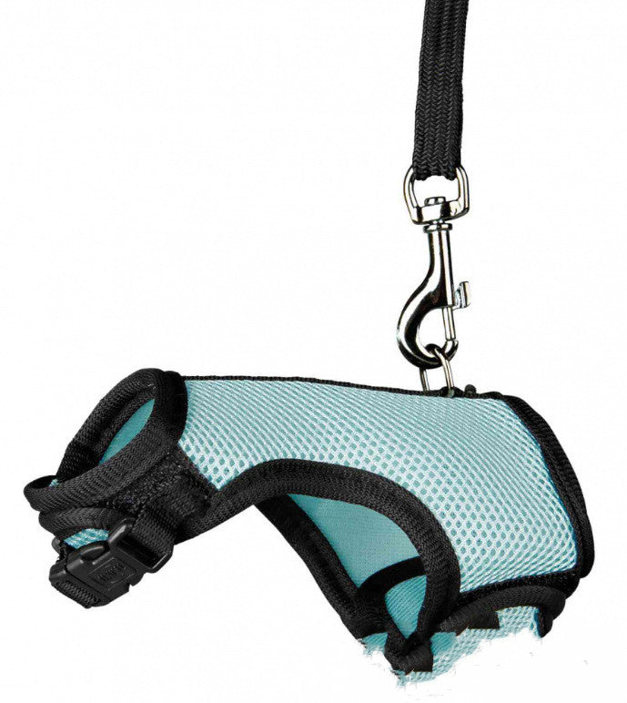 Adjustable Pet Leash For Small Pets And Outdoor Use