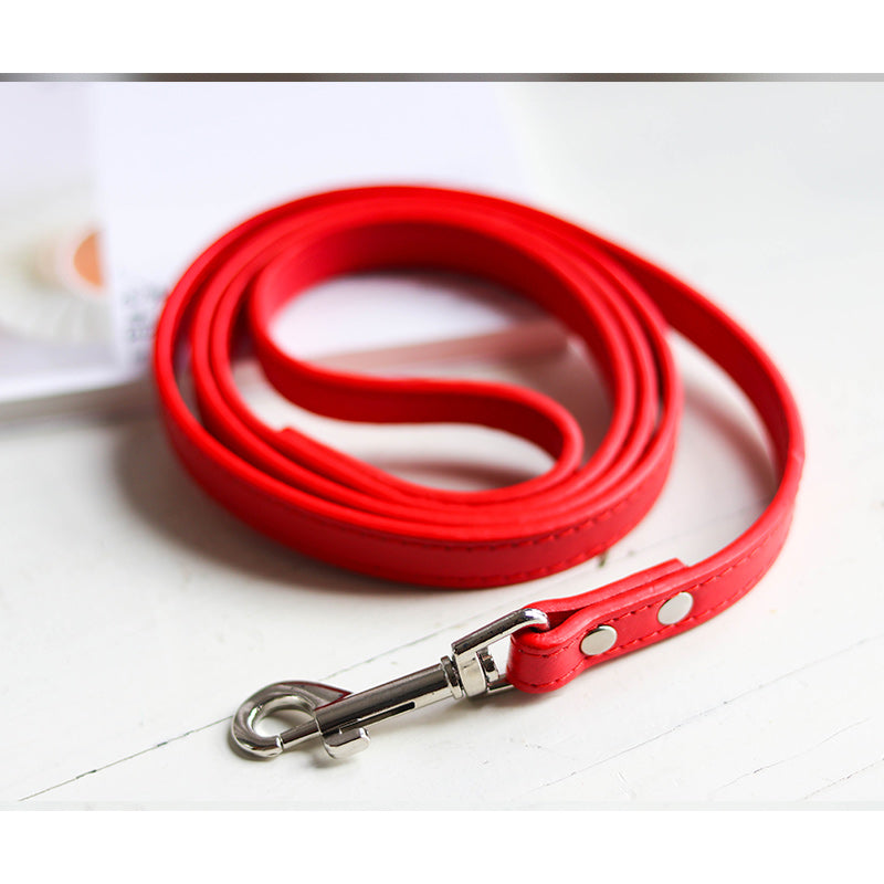 Adjustable Pet Leash And Collar Set For Outdoor Use