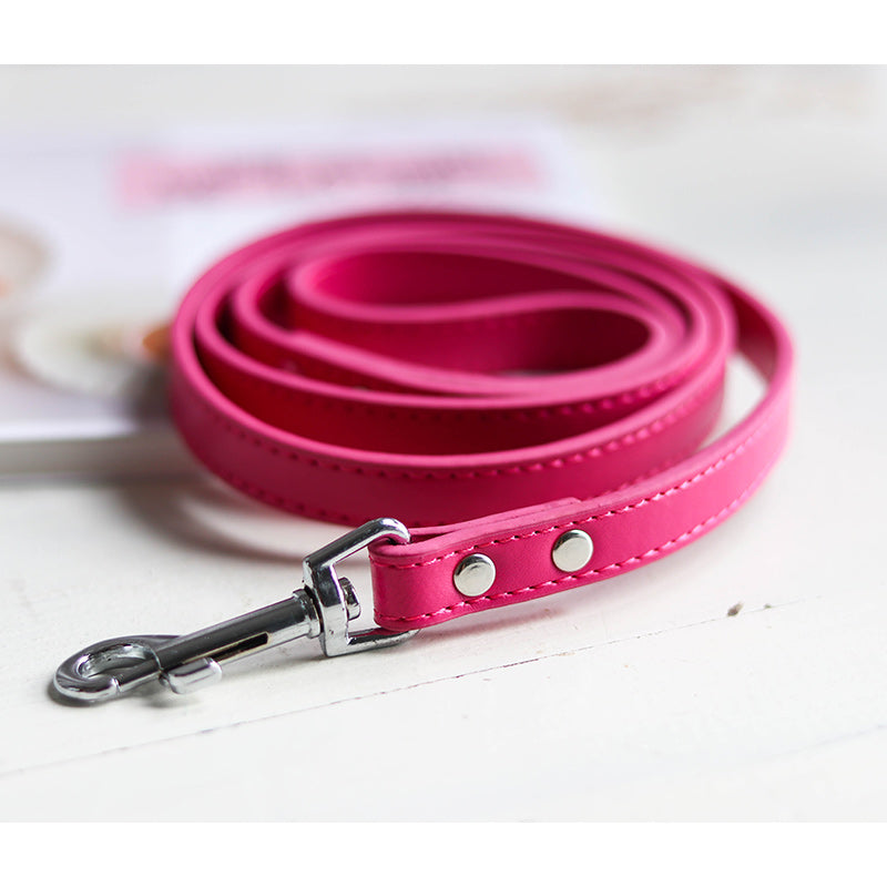 Adjustable Pet Leash And Collar Set For Outdoor Use