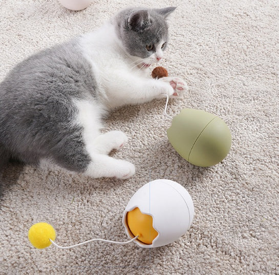 Interactive Funny Pet Play Artifact Toy
