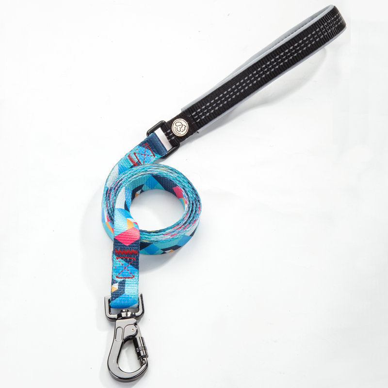 Adjustable Pet Leash For Outdoor Walking And Control