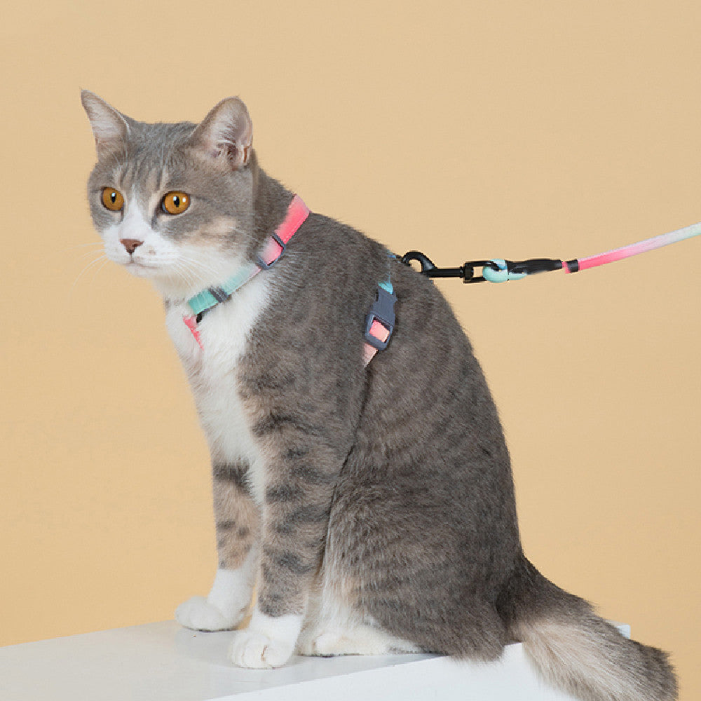 Fashion Pet Leash Anti Escape For Outdoor Control