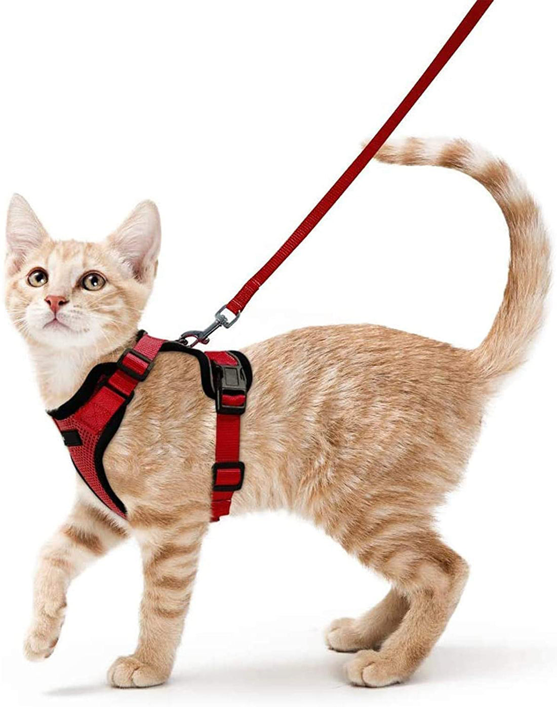 Adjustable Vest Style Pet Leash Anti Escape Design