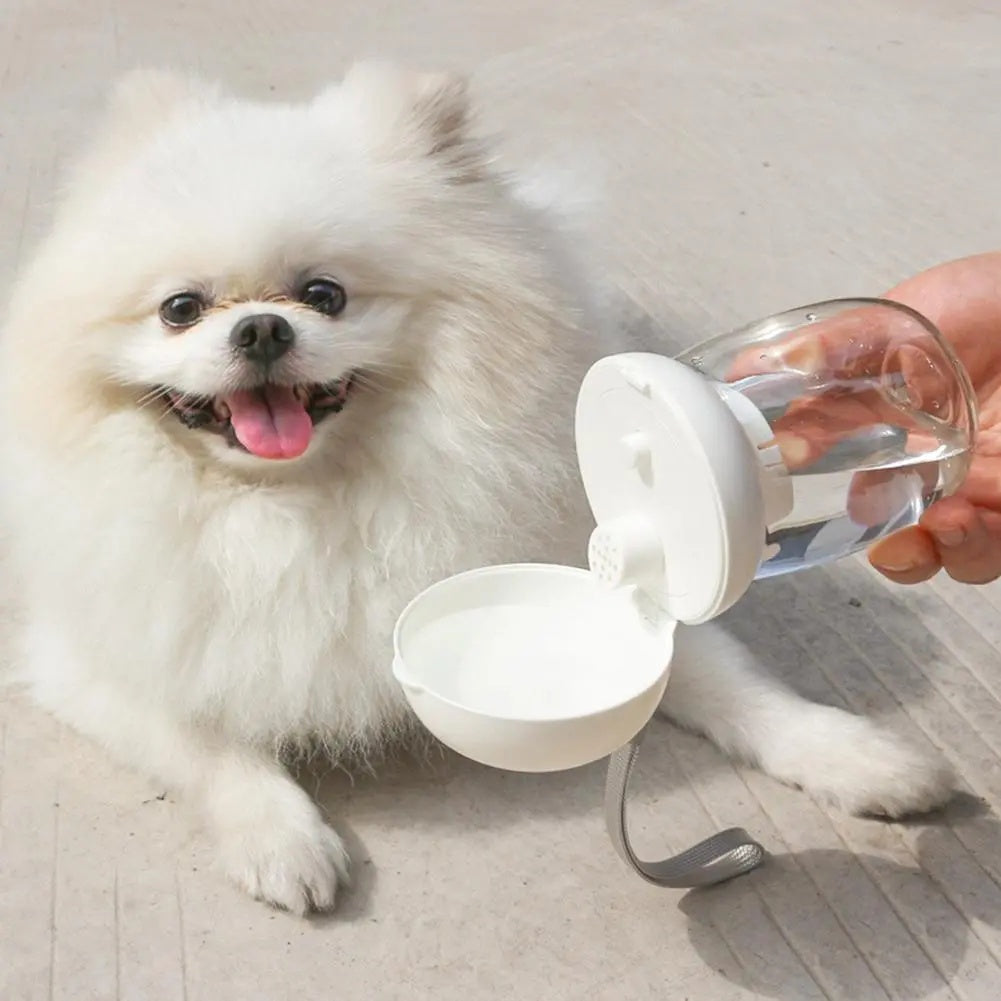 Pet Portable Travel Water Bottle With Feeding Bowl Lanyard