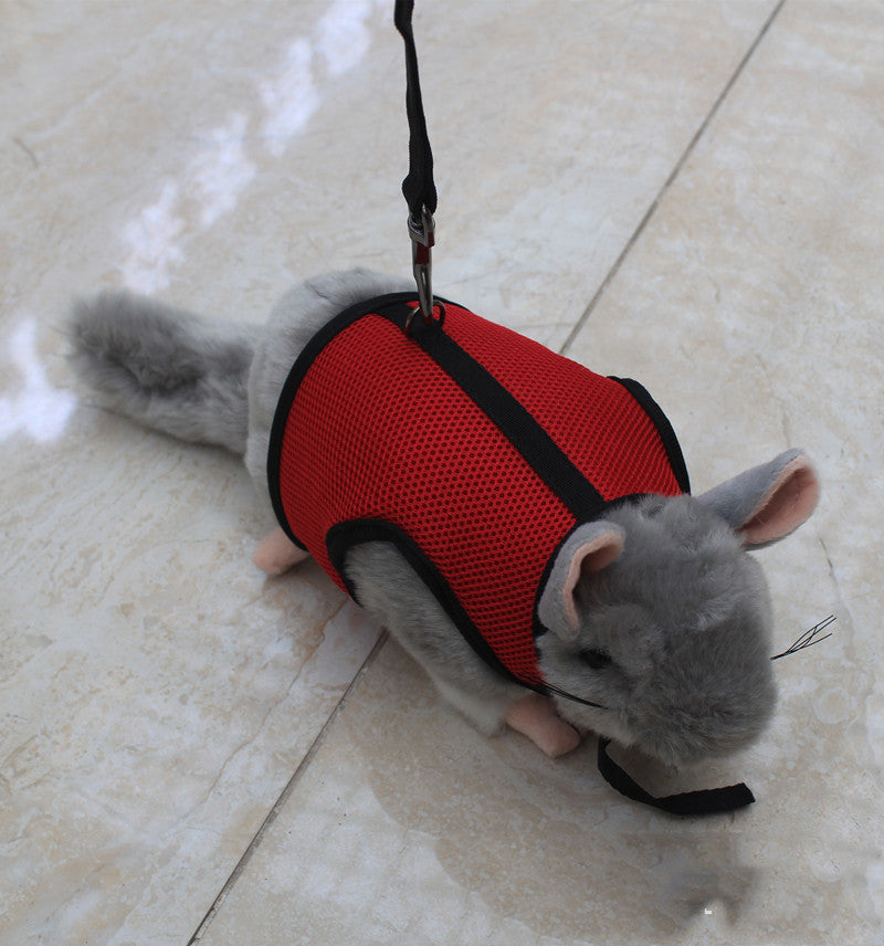 Adjustable Pet Leash For Small Pets And Outdoor Use