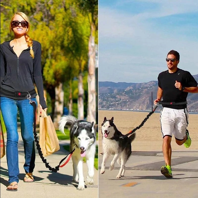 Adjustable Pet Harness And Leash For Jogging Use