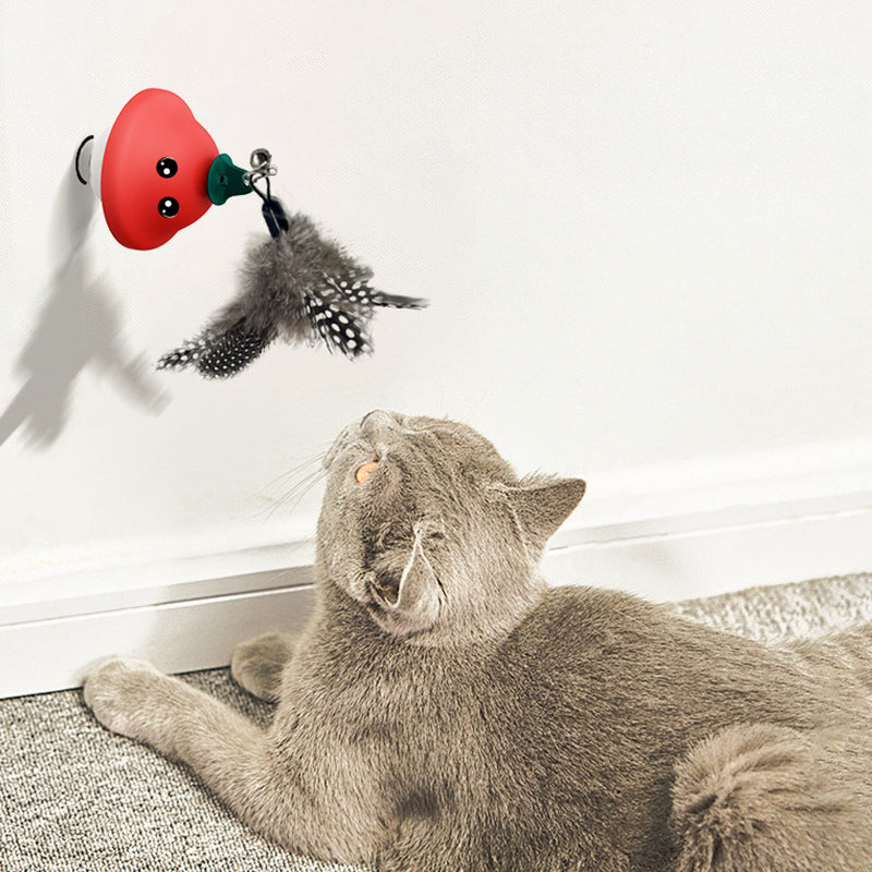 Suction Cup Retractable Interactive Pet Wand Exercise Toy