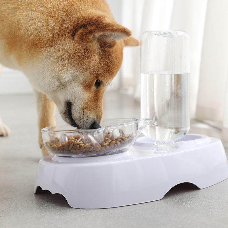 Transparent Pet Feeding And Drinking Bowl Durable Design