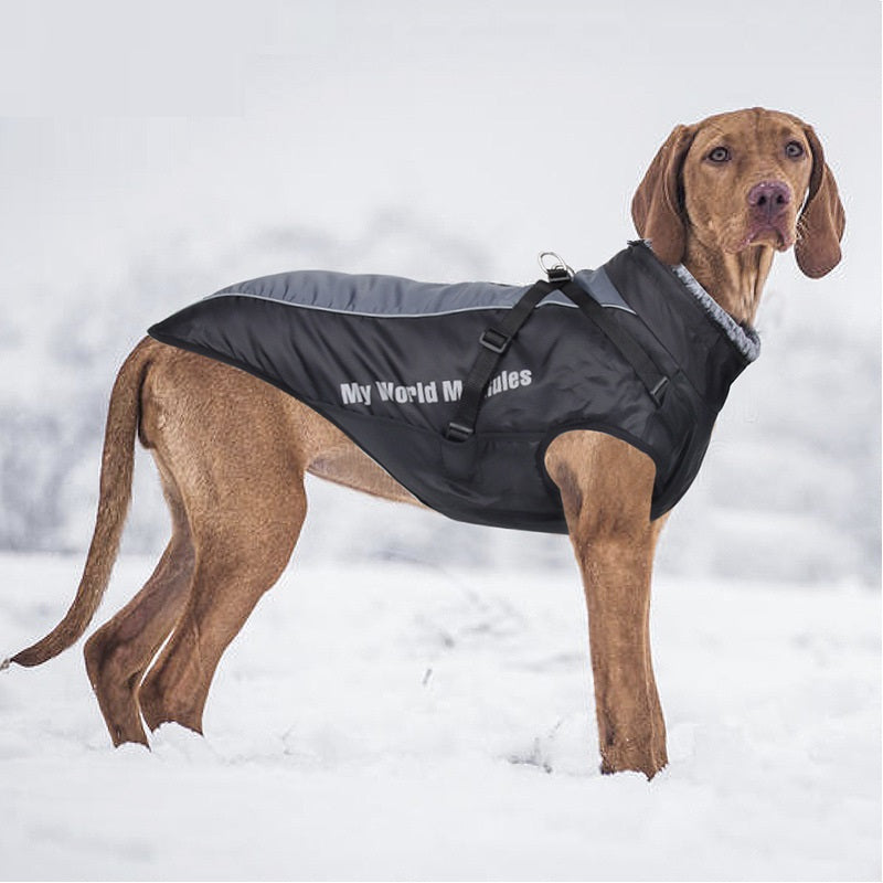 Waterproof Reflective Pet Jacket For Outdoor Warmth Protection