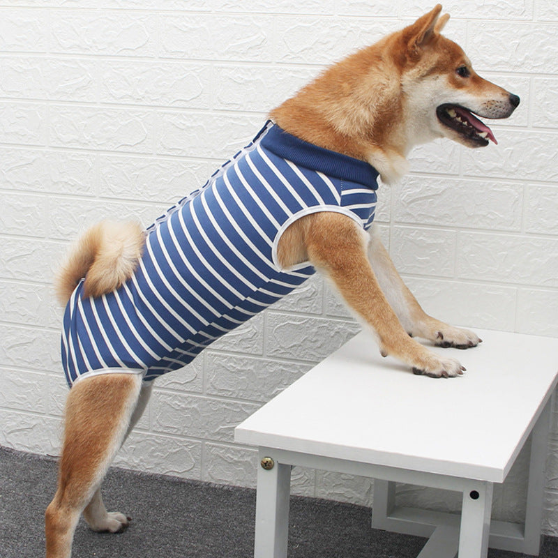 Pet Multi Color Fashion Clothing Casual Apparel