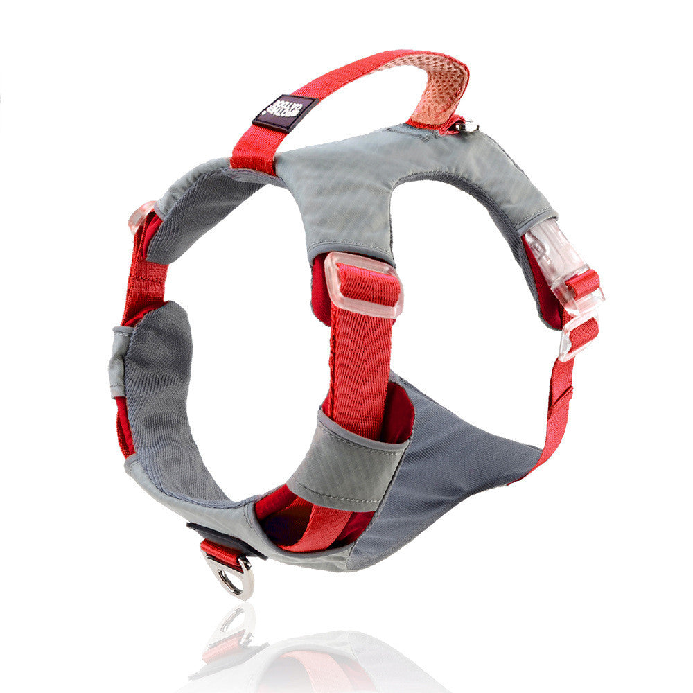 Heavy Duty Pet Chest Strap Leash With Storage Bag