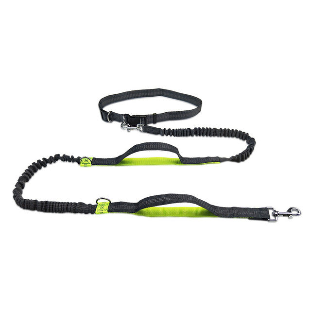 Adjustable Pet Harness And Leash For Jogging Use
